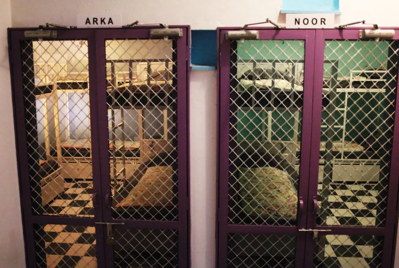 Gypsy Child Lake Hostel Udaipur